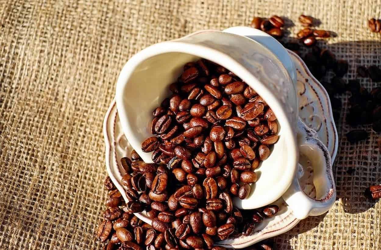 Coffee beans in a cup